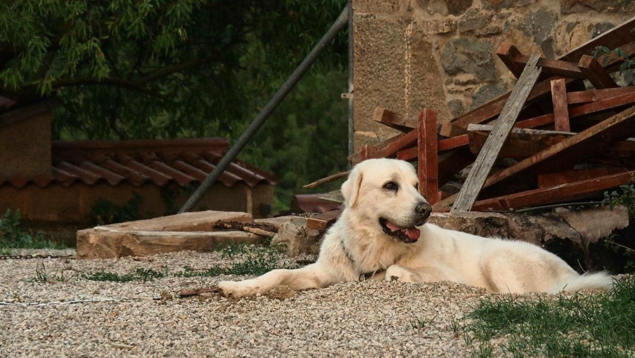 Masia La Clariana Castelltallat Exterior foto